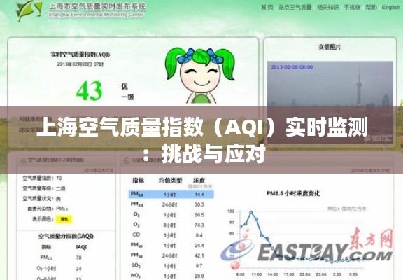 上海空气质量指数（AQI）实时监测：挑战与应对