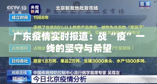 广东疫情实时报道：战“疫”一线的坚守与希望