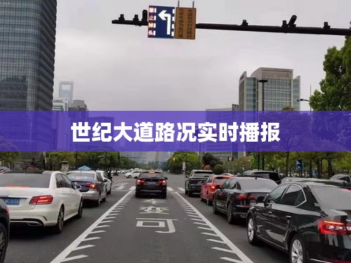 世纪大道路况实时播报