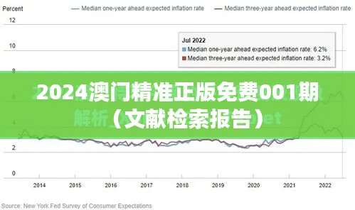 2024澳门精准正版免费001期（文献检索报告）