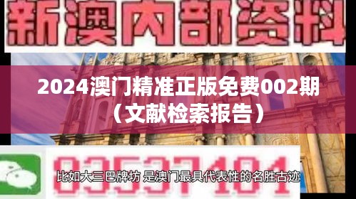 2024澳门精准正版免费002期（文献检索报告）