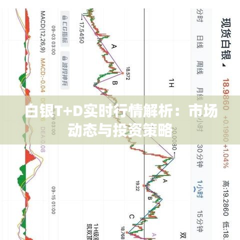 白银T+D实时行情解析：市场动态与投资策略