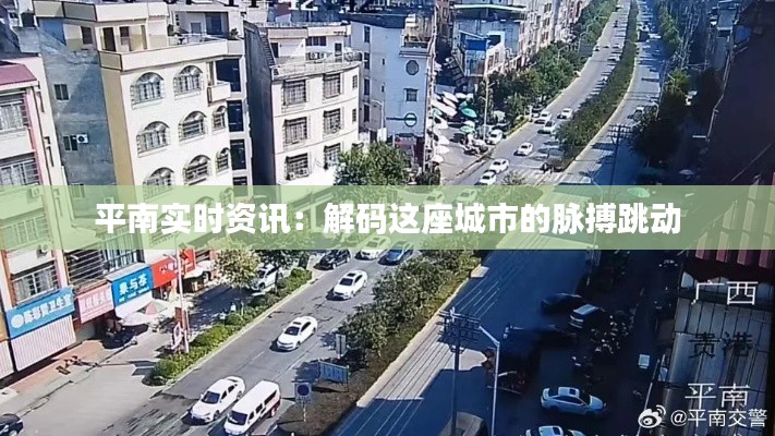 平南实时资讯：解码这座城市的脉搏跳动