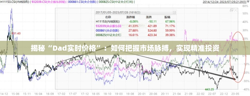 揭秘“Dad实时价格”：如何把握市场脉搏，实现精准投资