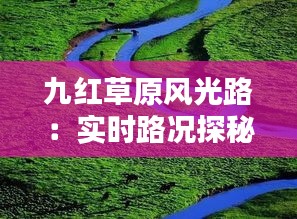 九红草原风光路：实时路况探秘