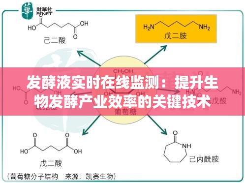 发酵液实时在线监测：提升生物发酵产业效率的关键技术