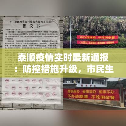 泰顺疫情实时最新通报：防控措施升级，市民生活有序进行