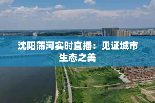 沈阳蒲河实时直播：见证城市生态之美