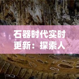 石器时代实时更新：探索人类史前文明的最新发现与解读