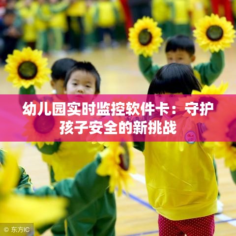 幼儿园实时监控软件卡：守护孩子安全的新挑战