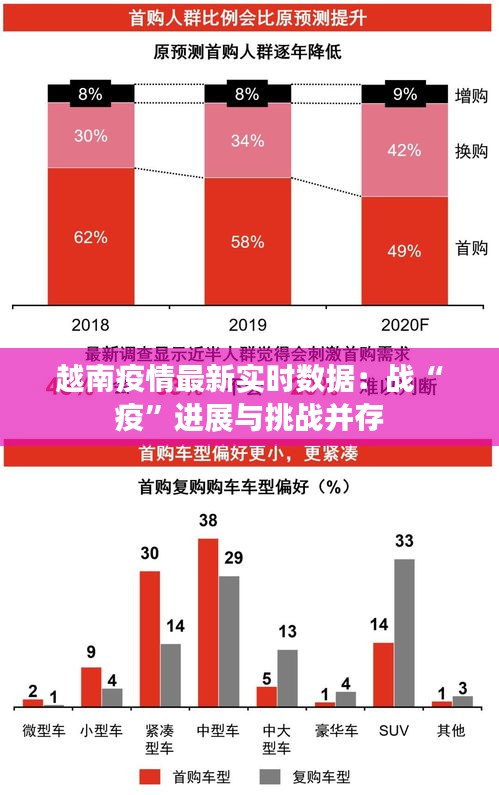 越南疫情最新实时数据：战“疫”进展与挑战并存