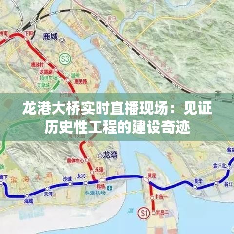 龙港大桥实时直播现场：见证历史性工程的建设奇迹