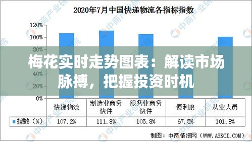 梅花实时走势图表：解读市场脉搏，把握投资时机