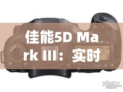 佳能5D Mark III：实时对焦与快速对焦的完美结合