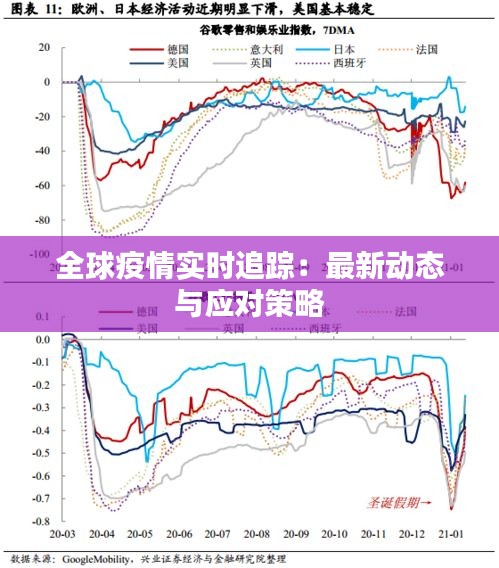 全球疫情实时追踪：最新动态与应对策略