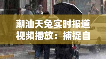 潮汕天兔实时报道视频播放：捕捉自然灾害的瞬间与温情