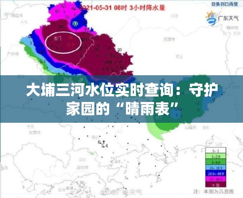 大埔三河水位实时查询：守护家园的“晴雨表”