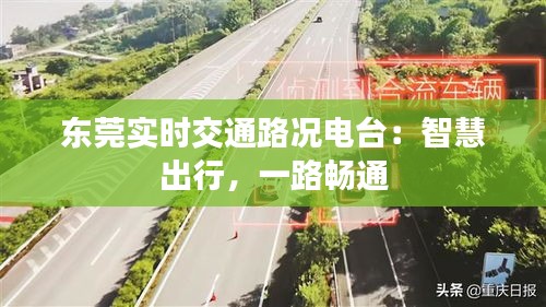 东莞实时交通路况电台：智慧出行，一路畅通