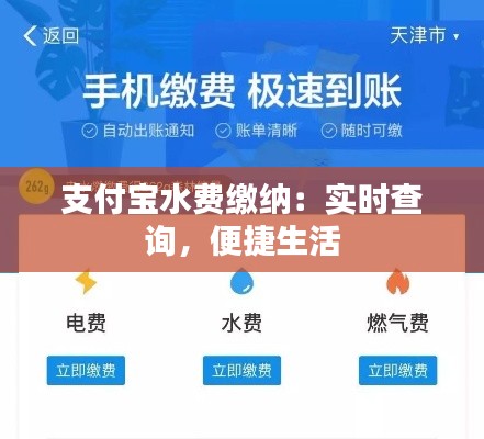 支付宝水费缴纳：实时查询，便捷生活