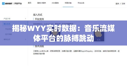 揭秘WYY实时数据：音乐流媒体平台的脉搏跳动