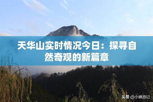 天华山实时情况今日：探寻自然奇观的新篇章