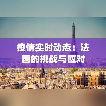 疫情实时动态：法国的挑战与应对