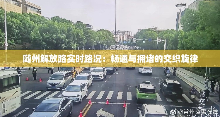 随州解放路实时路况：畅通与拥堵的交织旋律