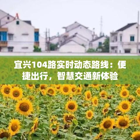 宜兴104路实时动态路线：便捷出行，智慧交通新体验