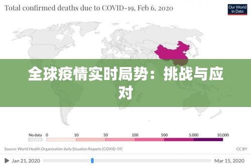 全球疫情实时局势：挑战与应对