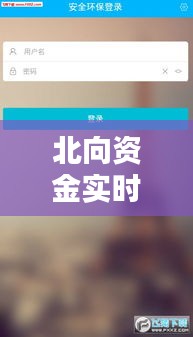 北向资金实时查询APP：投资决策的得力助手