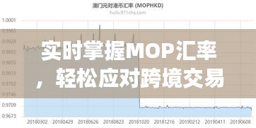 实时掌握MOP汇率，轻松应对跨境交易挑战