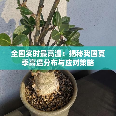 全国实时最高温：揭秘我国夏季高温分布与应对策略