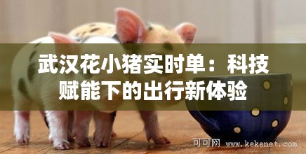 武汉花小猪实时单：科技赋能下的出行新体验