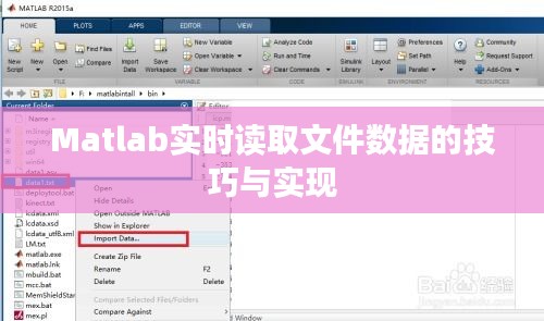 Matlab实时读取文件数据的技巧与实现