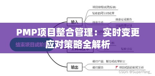 PMP项目整合管理：实时变更应对策略全解析