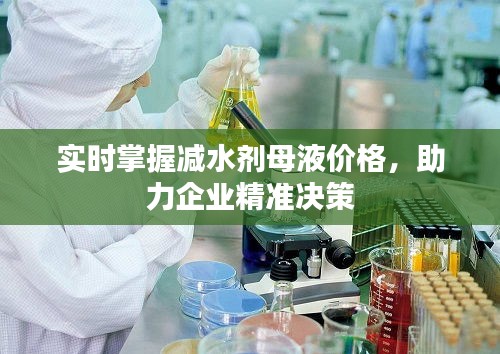 实时掌握减水剂母液价格，助力企业精准决策