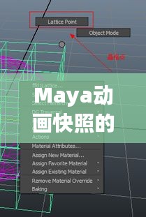 Maya动画快照的局限性与解决方案探讨