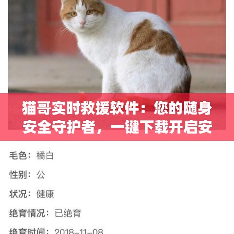 猫哥实时救援软件：您的随身安全守护者，一键下载开启安心之旅