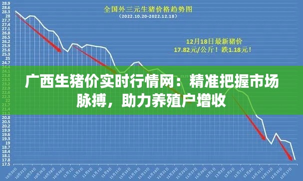 广西生猪价实时行情网：精准把握市场脉搏，助力养殖户增收