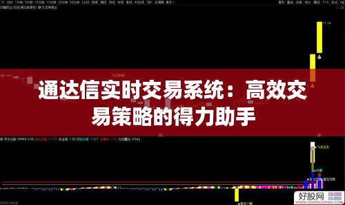 通达信实时交易系统：高效交易策略的得力助手