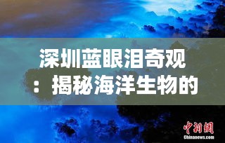 深圳蓝眼泪奇观：揭秘海洋生物的神秘之光