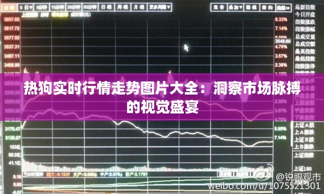热狗实时行情走势图片大全：洞察市场脉搏的视觉盛宴