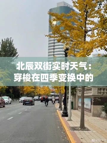 北辰双街实时天气：穿梭在四季变换中的城市风景