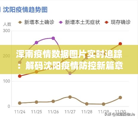 浑南疫情数据图片实时追踪：解码沈阳疫情防控新篇章