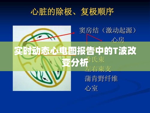 实时动态心电图报告中的T波改变分析