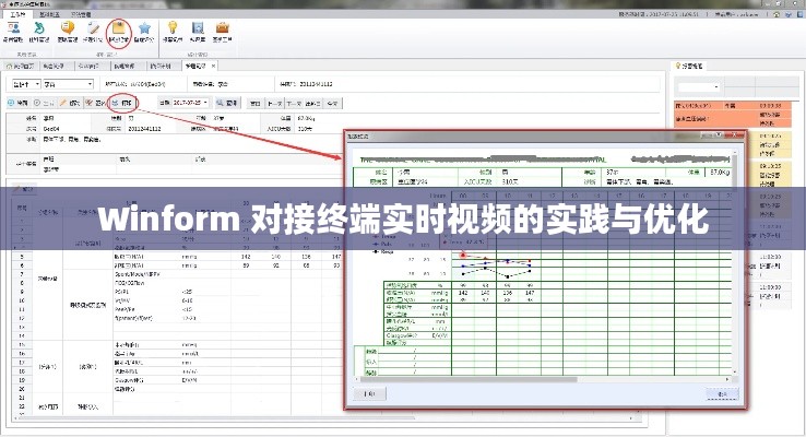 Winform 对接终端实时视频的实践与优化