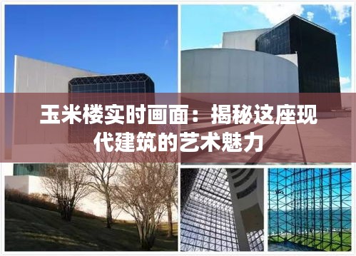 玉米楼实时画面：揭秘这座现代建筑的艺术魅力