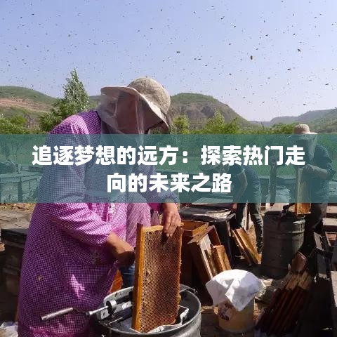 追逐梦想的远方：探索热门走向的未来之路