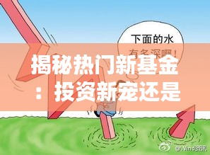 揭秘热门新基金：投资新宠还是风险陷阱？