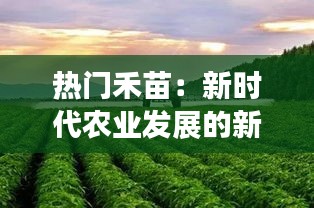 热门禾苗：新时代农业发展的新希望